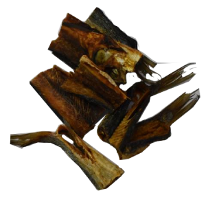 Doggobone-_-Fishy-Bytes