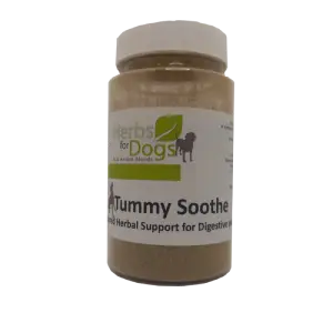 Herbs For Dogs | Tummy Soothe