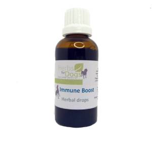 Herbs For Dogs | Immune Boost 50ml