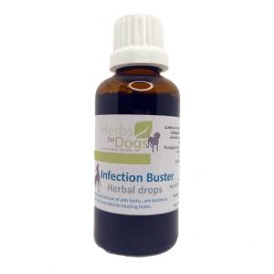 Herbs For Dogs | Infection Buster 50ml