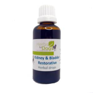 Herbs for Dogs | Kidney & Bladder Restorative