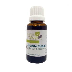 Herbs For Dogs | Parasite Cleanse 50ml