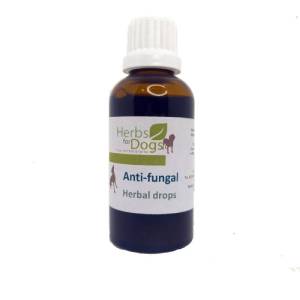 Herbs For Dogs | Anti-Fungal 50ml