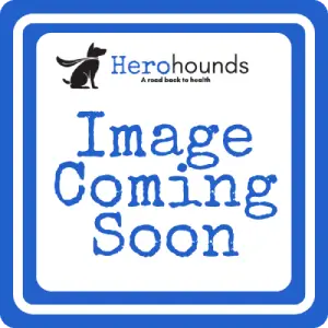 Tropical Paradise | Beef Sinew