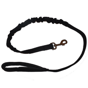 1.2m Bungee Lead With Handle