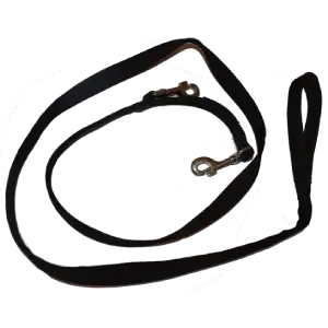 2.2m Bungee Lead With Handle