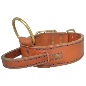 K9 Leather | Leather Dog Collar with Handle (50mm) ( Pre-order -  7 Day Turn Around)