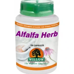Willow Wellness | Capsules | Alfalfa Herb (100 Caps)