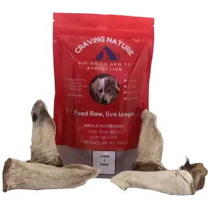 Craving Nature | Lamb Ears